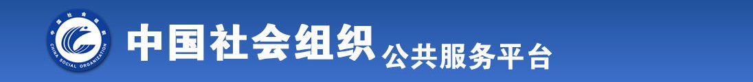 jiujiubibi全国社会组织信息查询